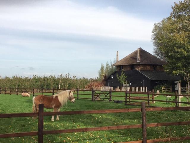 De Steltenberg In De Betuwe Zoelen 外观 照片
